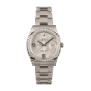 Rolex Datejust 116244SFAO 36MM Silver Floral Dial Silver-tone Case