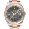 Rolex Datejust m126301-0015 41MM Wimbledon Dial Silver-tone Case