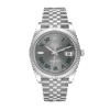 Rolex Datejust m126334-0022 41MM Wimbledon Dial Silver-tone Case