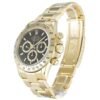 Rolex Daytona Black Dial 116528