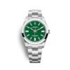 Rolex Oyster Perpetual 41mm Green